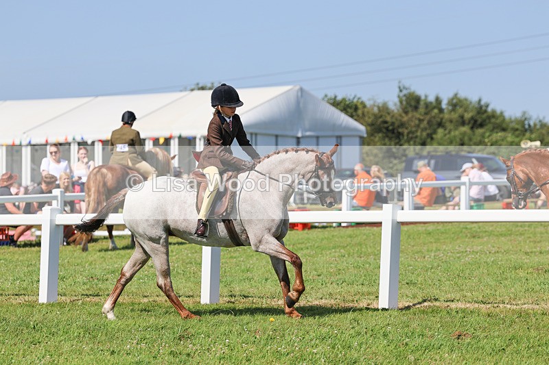 IMG_1900 - Class 33: Show Pony 148cm and under