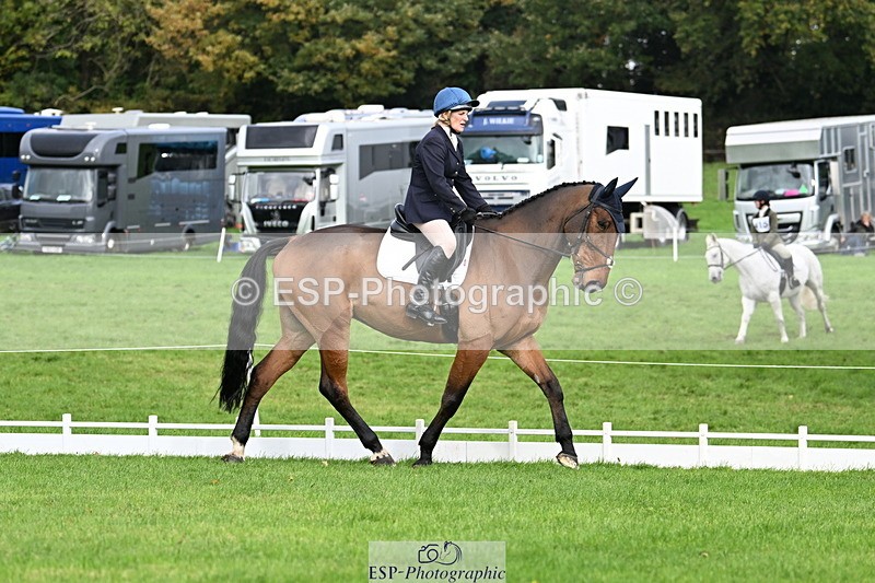 251023A-113526-03615 - G-514-Carolyn.Price With Trot Up