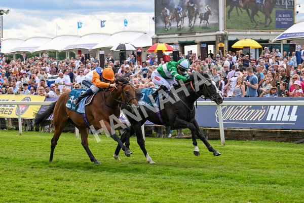 310525-Race 2-Tadej-8956 - Race 2 2.05pm Irish Thoroughbred Marketing EBF Restricted Novice Stakes