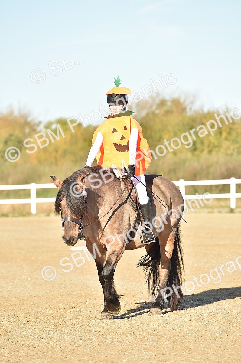 SBM_000079 - Class 2 - Intro B