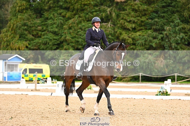 231020-163936-12342 - 317-THREEROCKS.PEGGY.BAWN-Harriet.Dickin-DR