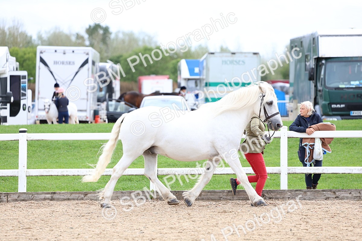 SBM_05828 - Class 29 - IH Veteran Pony