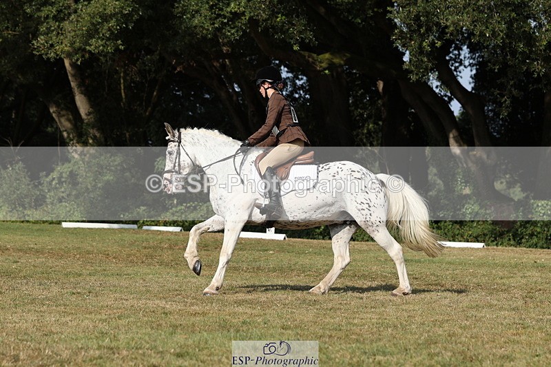 250823A-162434-33434 - PC80 Ride Off