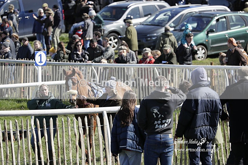 PtP 100423 540 - Old Berkshire Point-to-Point Lockinge 10/04/23