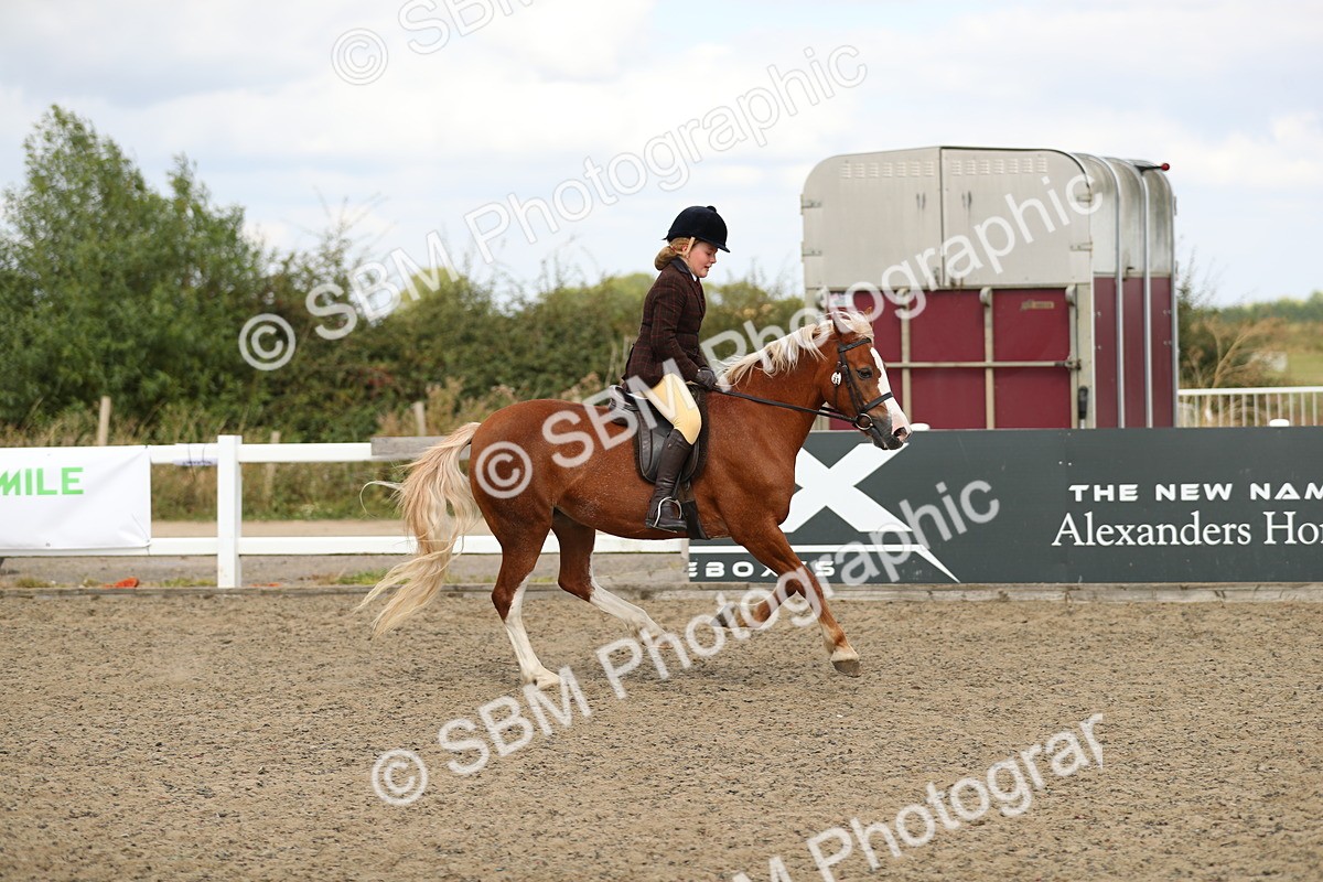 SBM_04747 - Class 46b Style & Performance 50cm (20+)