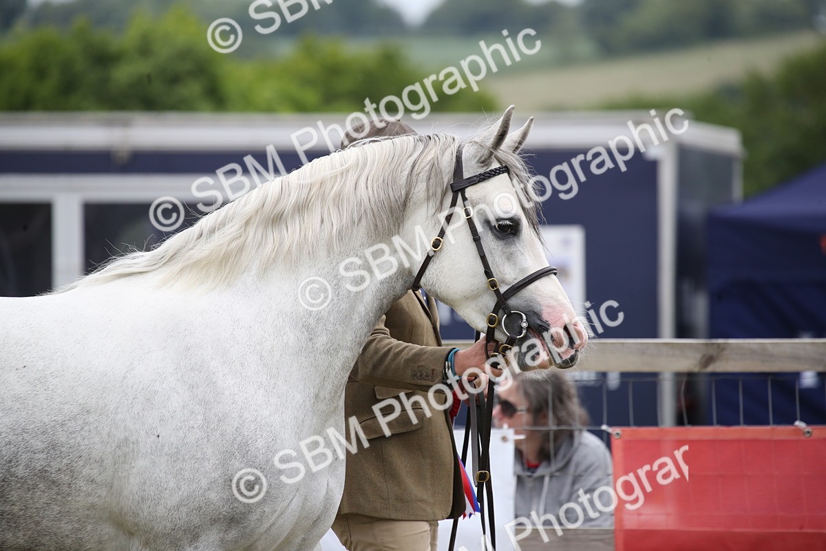 SBM_09729 - Ch 50 - Price Family Supreme In Hand