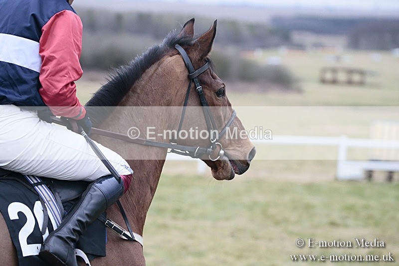 PtP 180218 483 - Combined Services Point-to-Point Larkhill 18/02/18