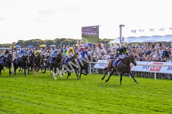 240824-Race 4-Magical Zoe-1650 - Race 4 3.35pm Sky Bet Ebor Handicap