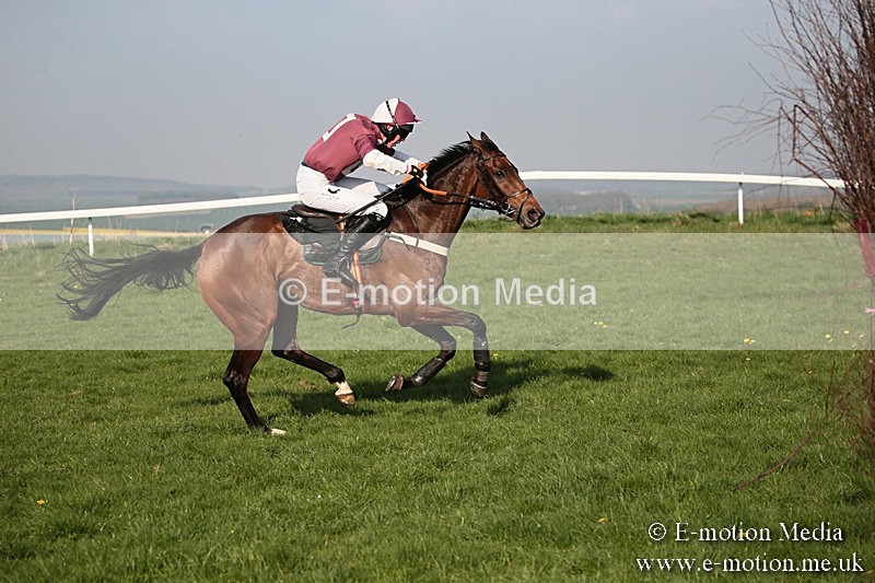 PtP 210418 647 - South & West Wilts Point-to-Point Larkhill 21/04/18