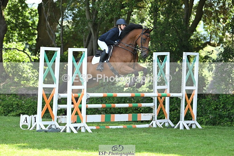 250704A-103811-07019 - Cls 25 Snr British Novice and 90cm