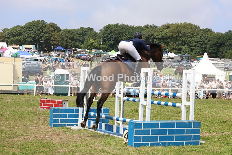 3E7A3438 - Class 10: Senior Foxhunter/1.20 open