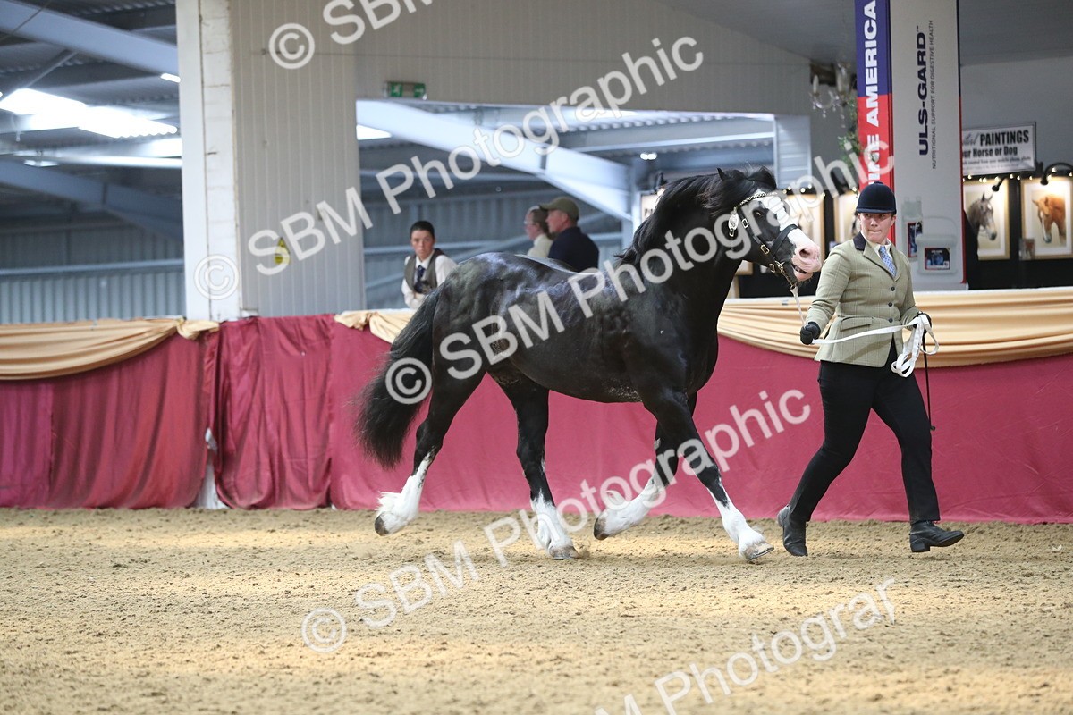 SBM_15254 - Class 501 M&M IH Supreme Final