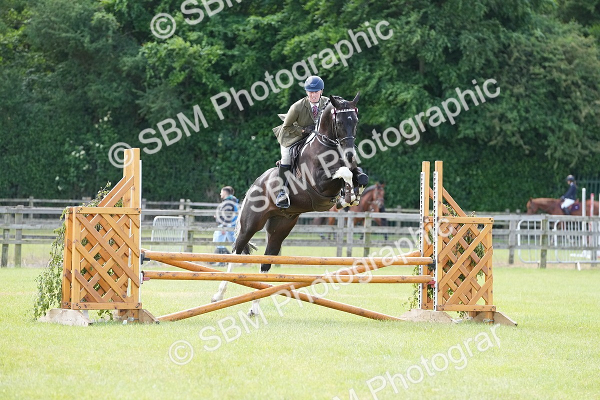 SBM_12869 - Class 99 - RIHS SEIB Working Show Horse