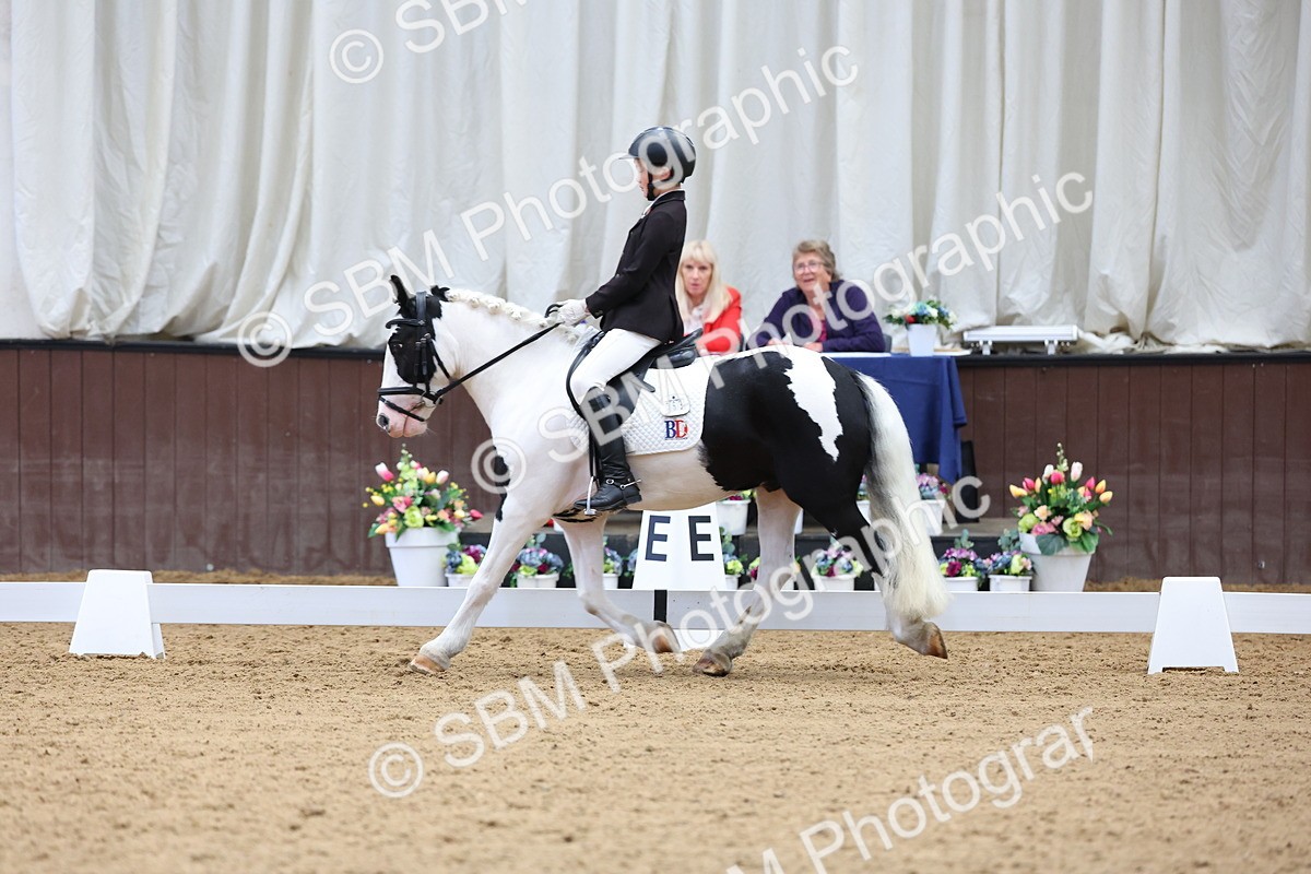 SBM_015810 - Class 15 - Novice FSM - 9.50 - 11.10