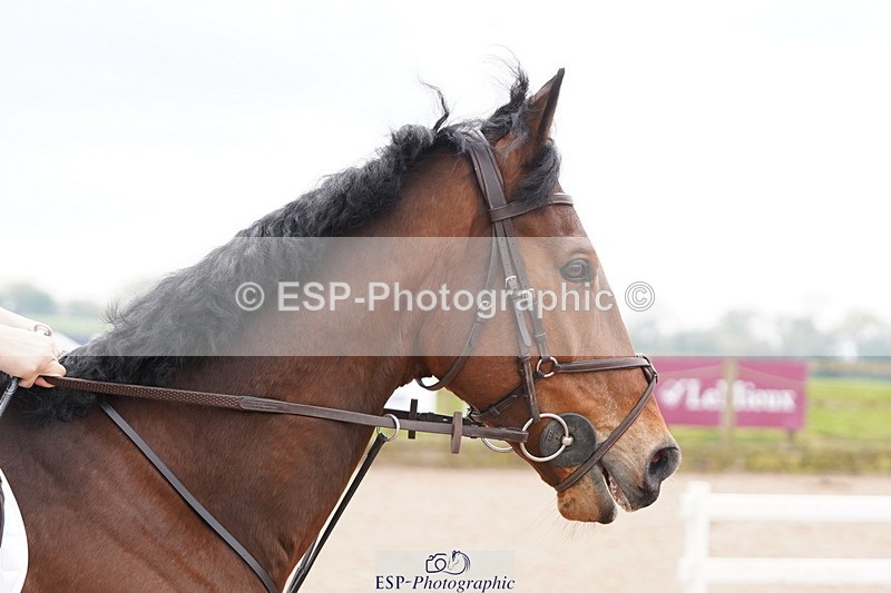 250419-130808-10980 - 709-Orla.Webster-OTTO.OYL