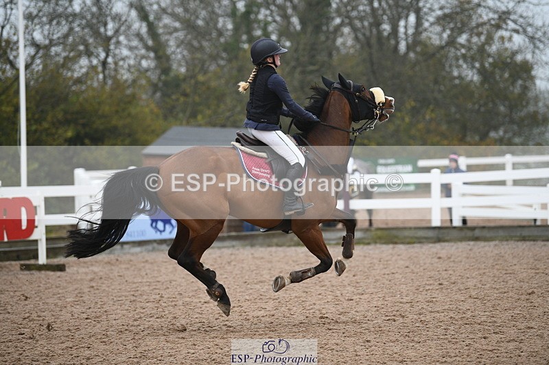 241103A-102334-07448 - SUN Cls 21 Snr Newcomers and 1.10m Open