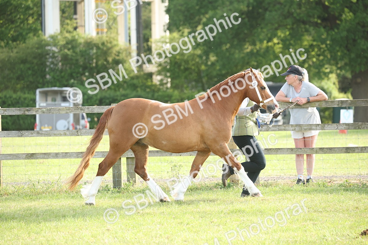 SBM_10586 - Class 33-38 - SSADL RIHS Qualifiers
