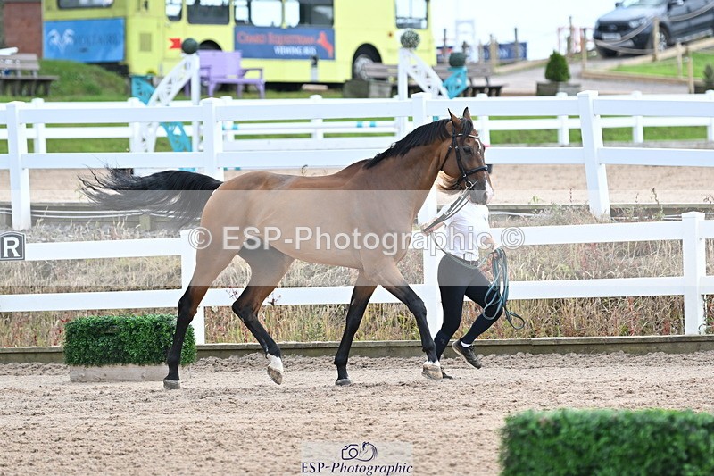 240717A-142741-02067 - Trot Up 2pm to 3pm - This folder is not in time order