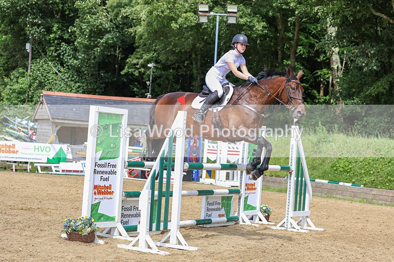 3E7A7508 - Class 9: Senior Foxhunter/1.20 open