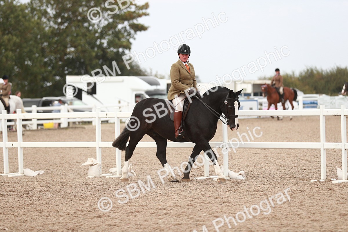 SBM_16666 - Class 214 Ridden Cob