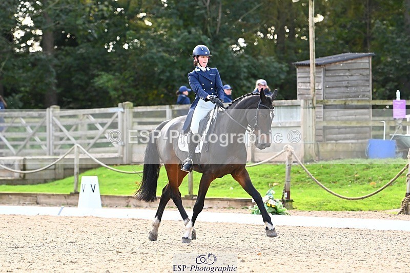 231021-143135-17854 - 358-ROYALE.MESSENGER-Anna.Singer-DR