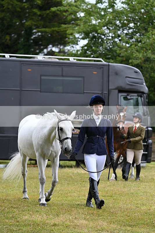 WJ7_6234 - Class 4a Prettiest Mare over 14hh