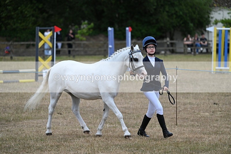 WJ7_8338 - Class 4 Prettiest Mare up to 14.2hh