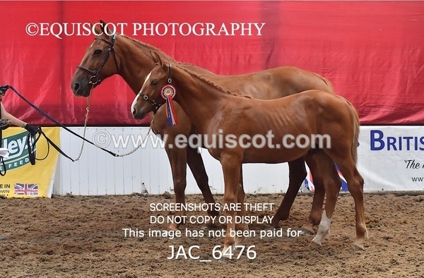 JAC_6476 - 19 Luca