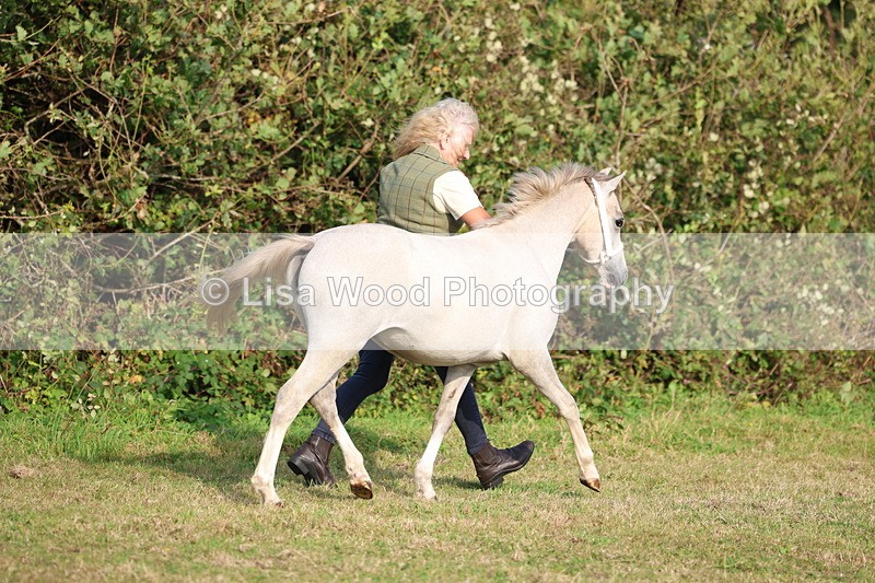 3E7A3157 - Class 12: M & M Small Breeds