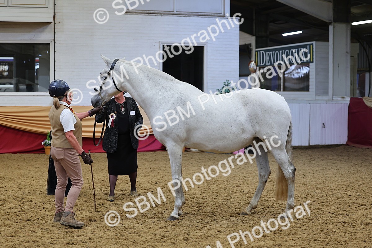 SBM_22700 - Class 903 - Supreme Final - IH Pre Vet