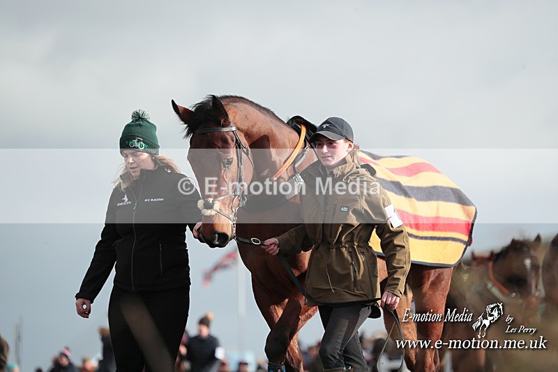 PtP 311223 388 - Larkhill Racing Club Point-to-Point 31/12/23