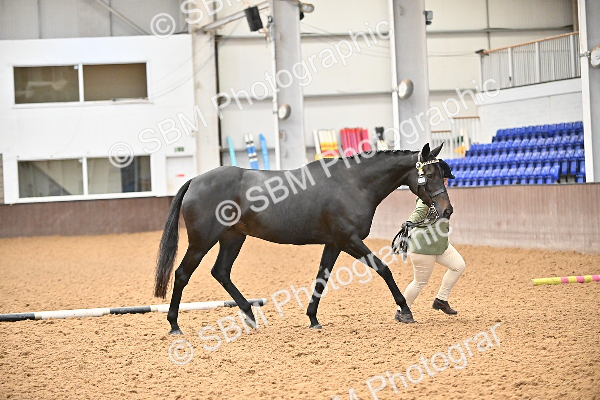 SBM_000264 - Class 7 - ROR Tattersalls In Hand