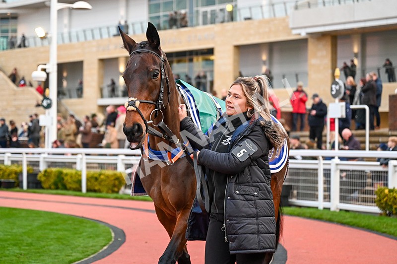 141224-Race 7-Lunar Discovery-0897 - Race 7