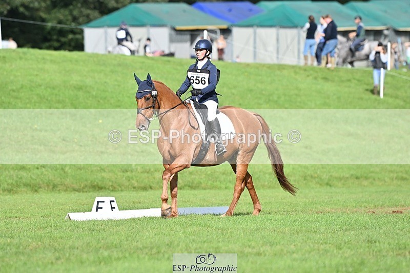 231020-120554-08314 - 656-DUNARD.RED.KNIGHT-Naomi.Watkins-DR