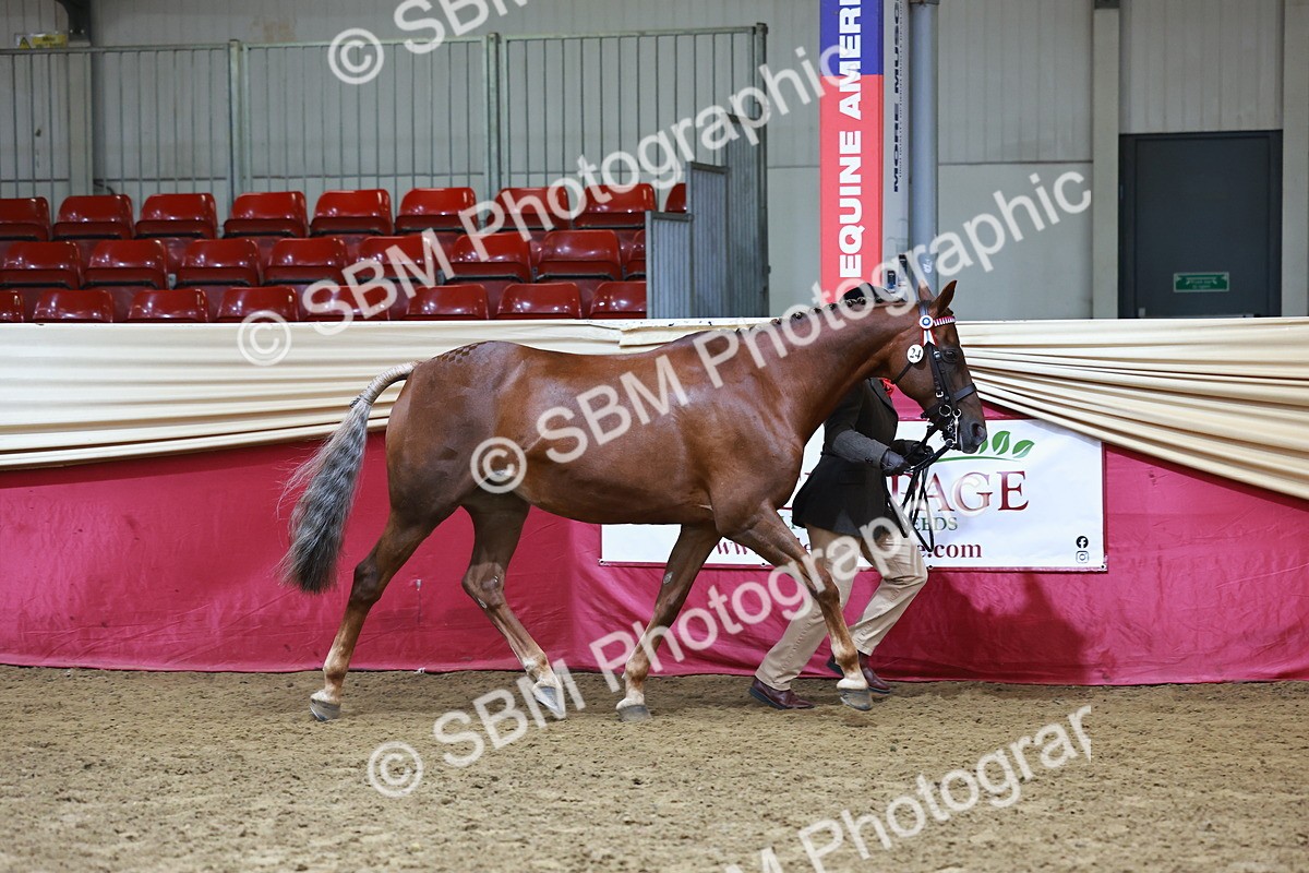 SBM_22271 - Class 902 - Supreme Final - IH Diamond