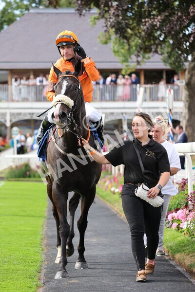 yr08072022r6-29 - Race 6 5.00pm Irish Thoroughbred Marketing Stakes