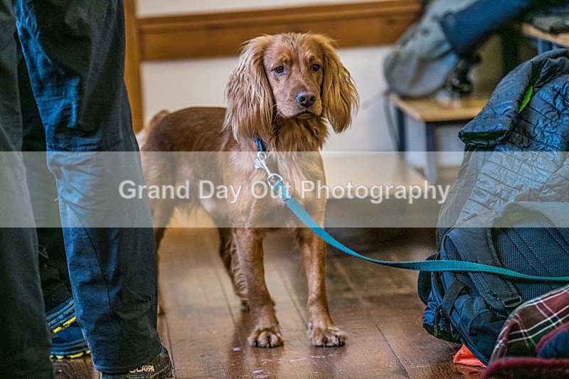 Stybarrow Dodd-3 - Kong Running Stybarrow Dodd Fell Race Saturday 29th November 2025