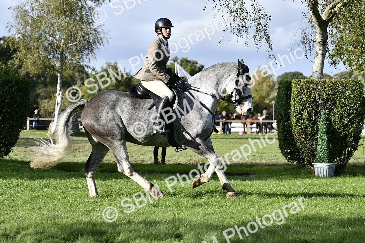 SBM_52213 - S35 - Working Hunter & Working Show Horse