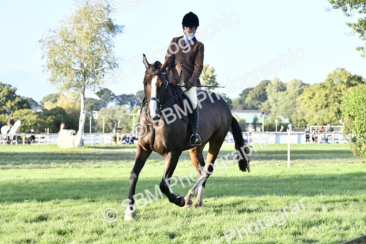 SBM_53566 - S14 - Riding Club Horse