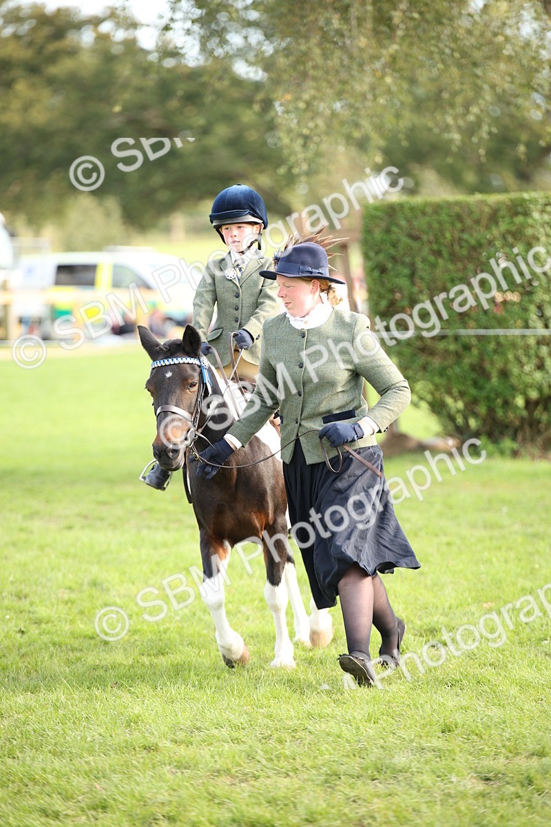 SBM_54284 - S27 - Mature Veteran - Ridden