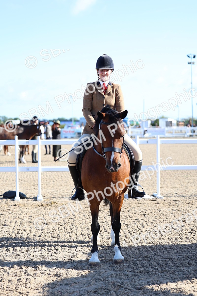 SBM_08816 - Class 302 - Ridden M&M - Large Breeds