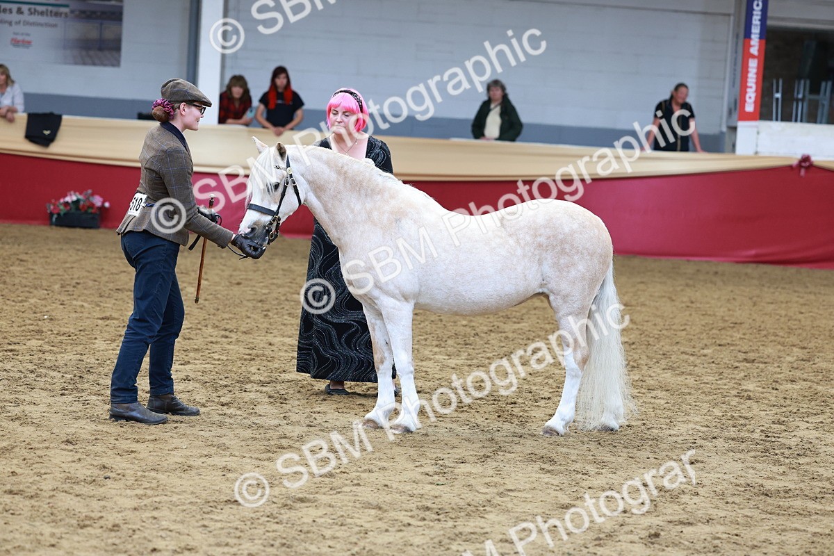 SBM_17390 - Class 951 - M&M IH Supreme Final