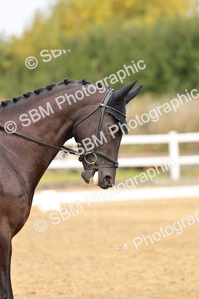 SBM_012250 - Class 2 - Prelim 5