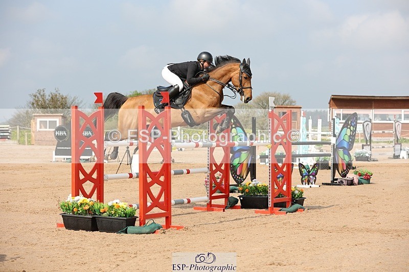 250424-102949-03051 - Cls 33 Young Horse 7yr old