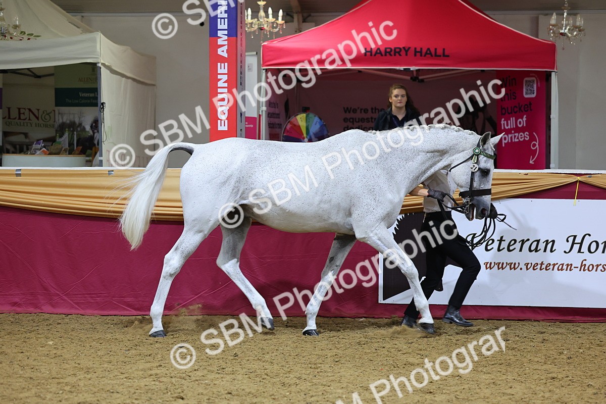 SBM_20812 - Class 902 - Supreme Final IH Veteran