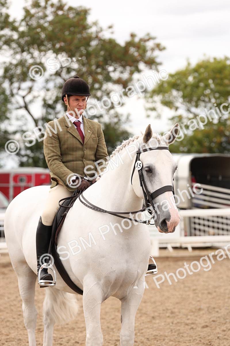 SBM_17265 - Class 213 - Ridden Hunter - Large