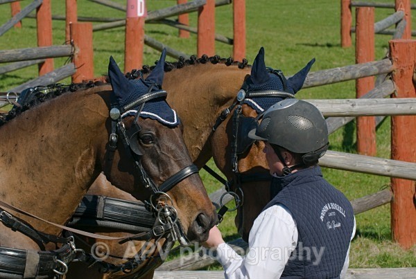 _DSC0142 - Ashfields Carriage & Polo Club