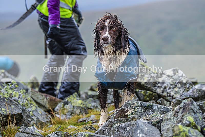 Matterdale-264 - Kong Matterdale Horseshoe Fell Race Saturday 20th August 2022