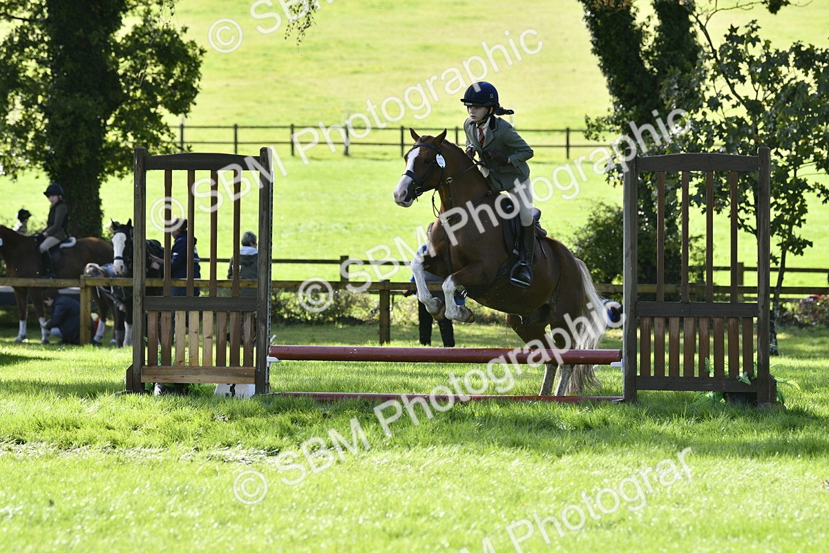 SBM_38206 - S31 - Novice & Newcomer Working Hunter Pony