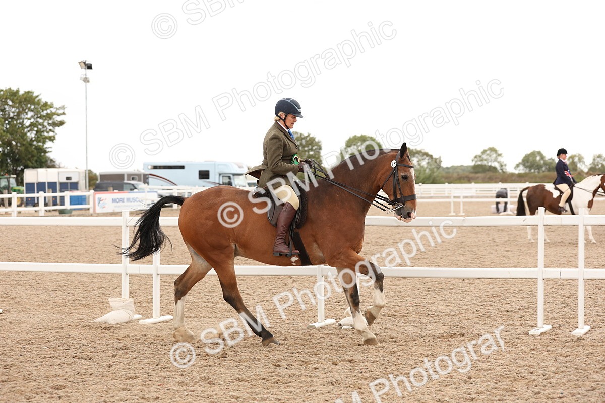 SBM_19614 - Class 215 - Ridden Show cob